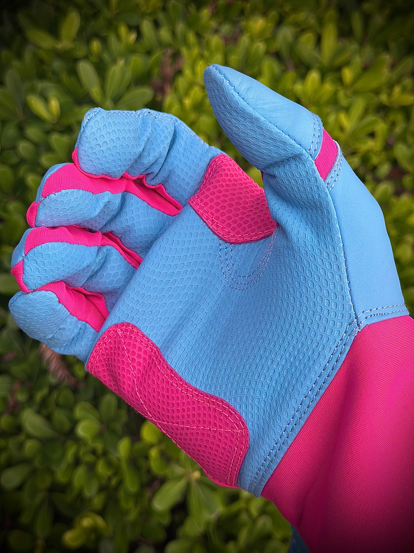 GT Batting Gloves w/ Carry Case - Blue